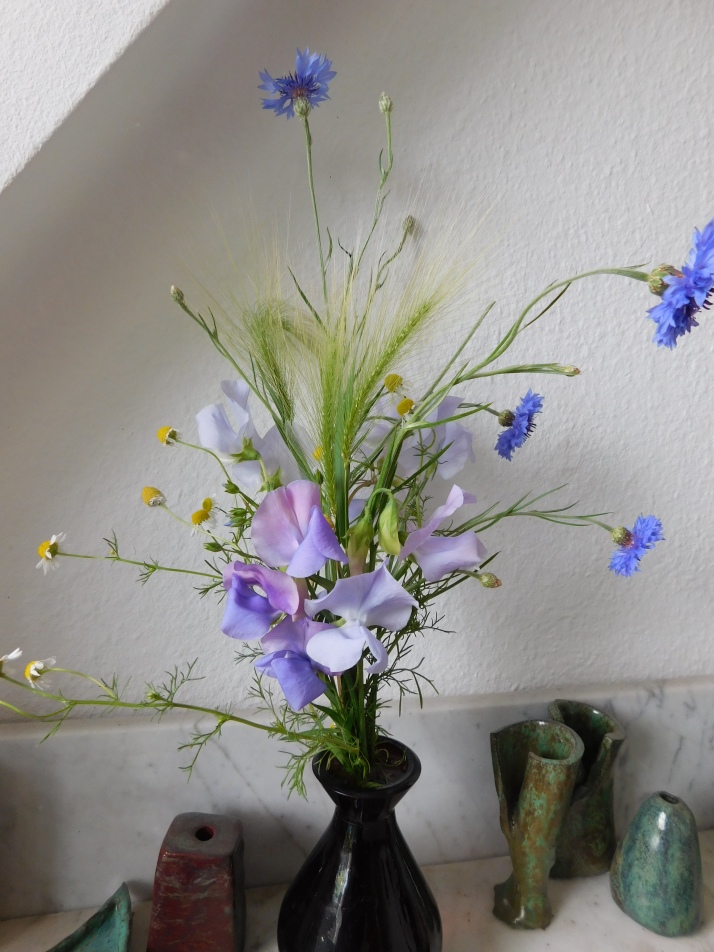 June bouquet, featuring Hordeum jubatum, Chamomile, Cornflowers and Sweet Peas.