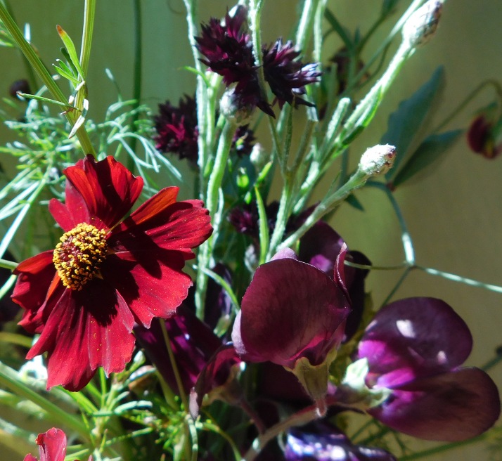Colour palette in detail: Ruby (Coreposis), burgundy (Cornflowers) and purplish red (Sweet Peas)