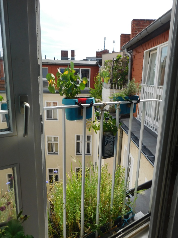 Balcony, seen from the kitchen window/door