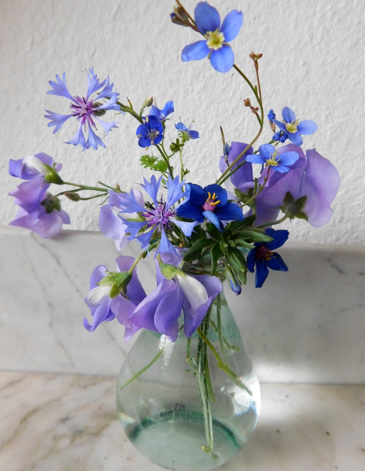 Sweet Peas "Blue Wonder" with wildflowers.