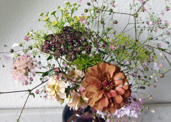 Warm pastel bouquet detail, with Daucus "Dara", Matthiola "Champagne" and Zinnia "Queen Red Lime"