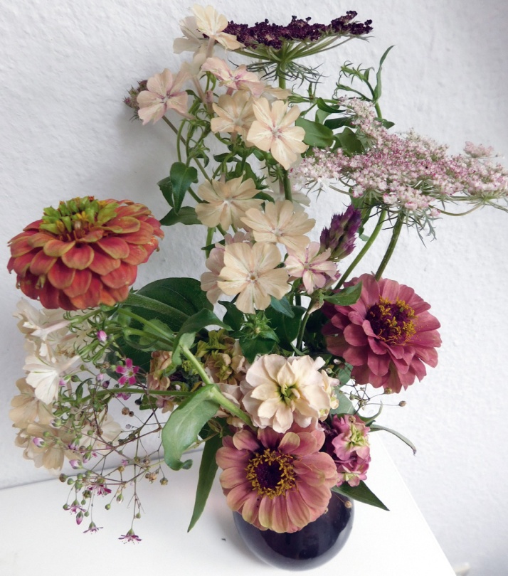 Zinnias, Summer Phlox, Stocks and Queen Anne's Lace